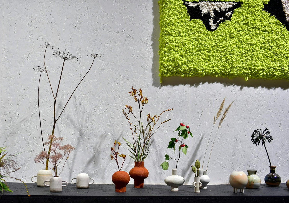 Plante olivier